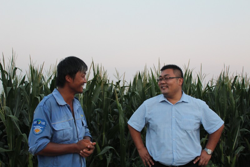 點(diǎn)擊打開(kāi)原圖 豐縣標(biāo)普