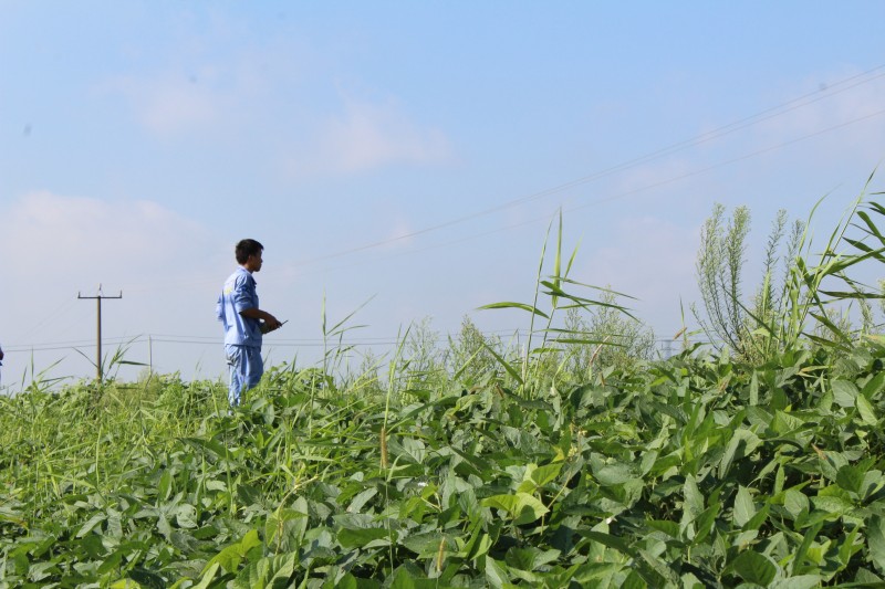 點(diǎn)擊打開(kāi)原圖