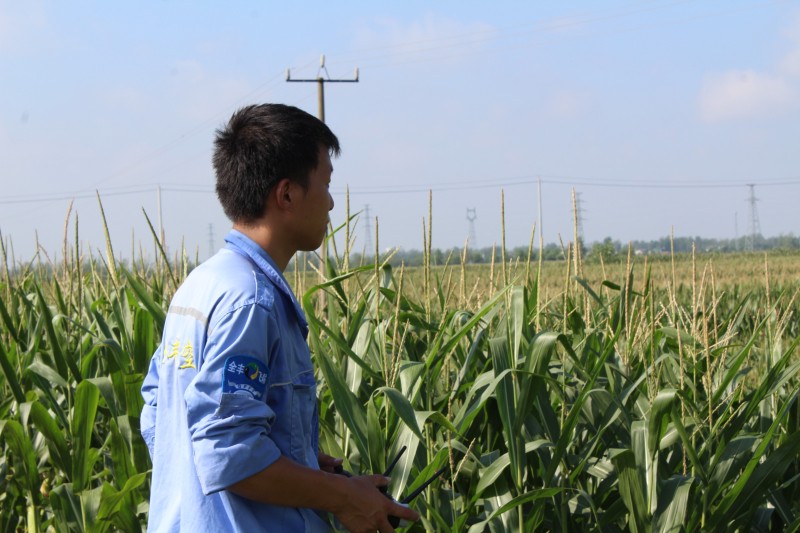 點(diǎn)擊打開(kāi)原圖