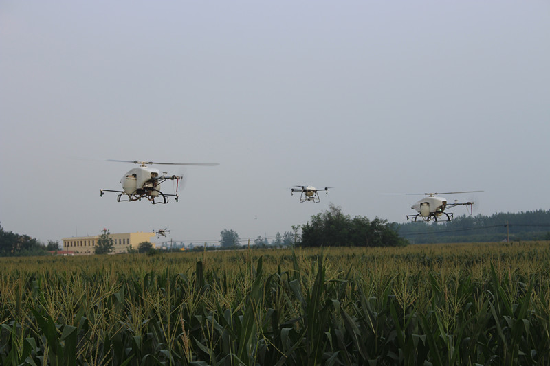 點擊打開原圖 全豐植保無人機(jī)在飛翔_副本