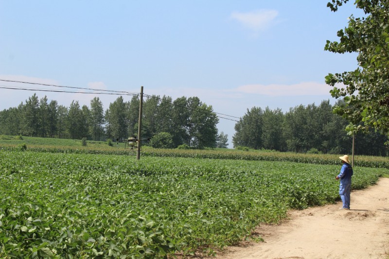 點(diǎn)擊打開原圖 IMG_0024