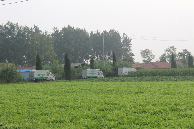 點(diǎn)擊打開原圖 IMG_0302