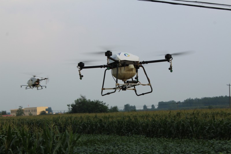 點(diǎn)擊打開原圖 IMG_0277