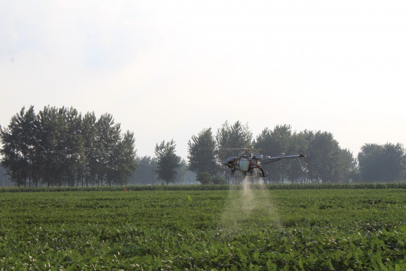 點(diǎn)擊打開原圖 IMG_0655