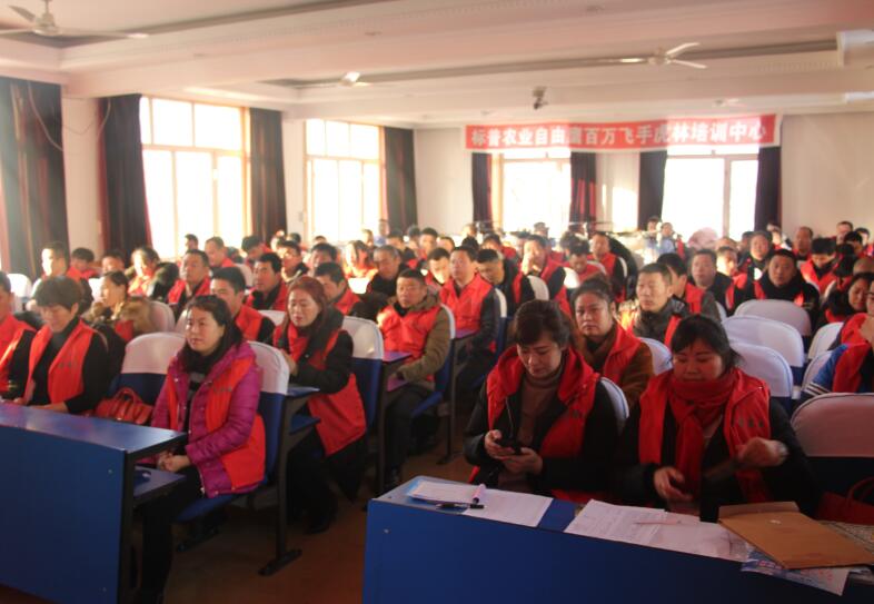 虎林標(biāo)普，全豐航空，標(biāo)普農(nóng)業(yè)，農(nóng)用植保無(wú)人機(jī)