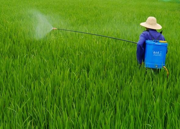 飛防植保、標(biāo)普農(nóng)業(yè)、全豐航空、飛防服務(wù)